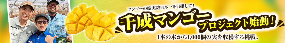 mango980150.jpg