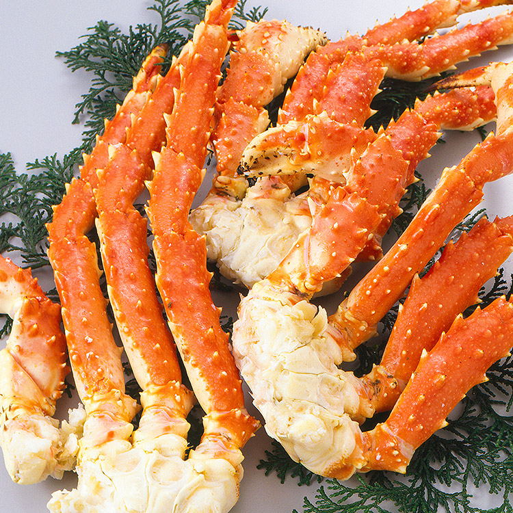 ゴールデンキングクラブ