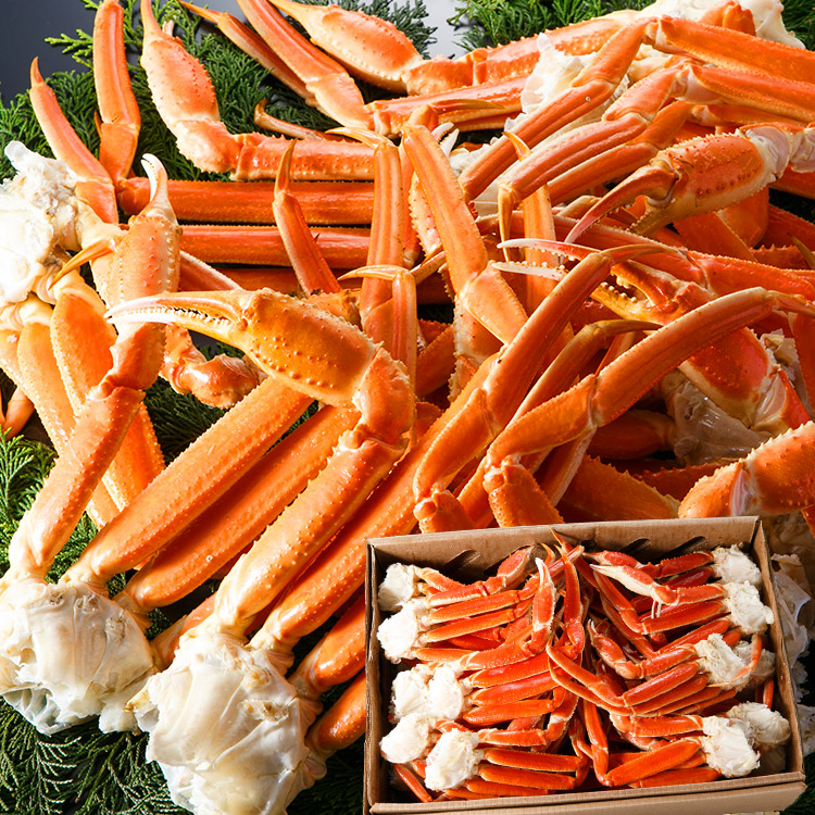 超特大6〜3Lサイズ5kg