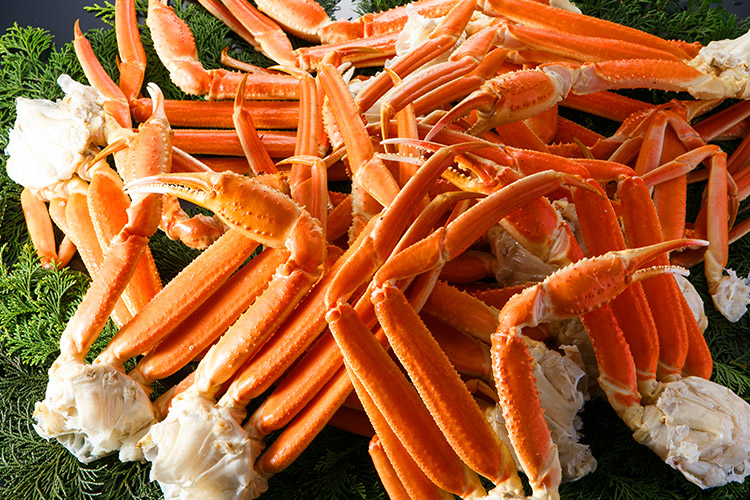 ボイルずわいがに5kg