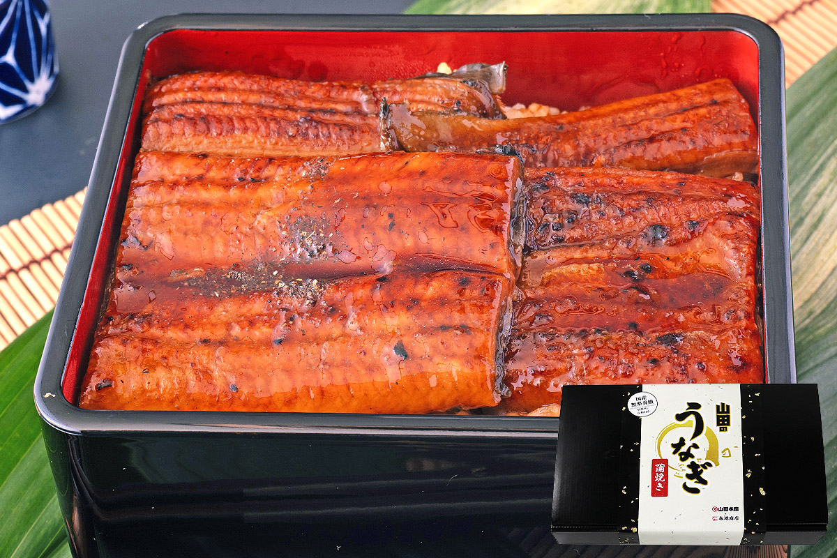 うなぎ 鹿児島県産 2尾 ギフトBOX入 125g×2