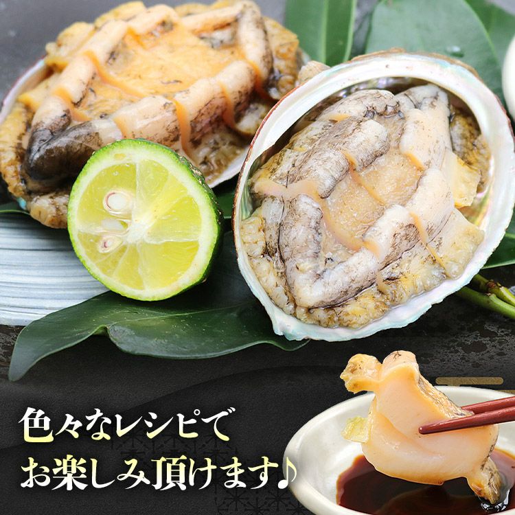 あわび 1kg 12粒入 アワビ 鮑 えぞあわび 貝 冷凍 蝦夷 お刺身