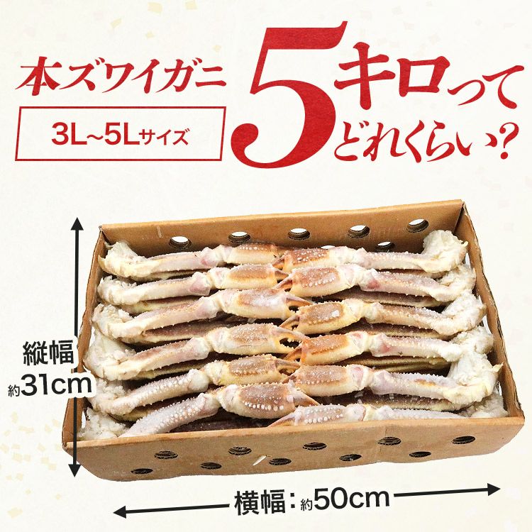 超特大 生 ずわい蟹 5kg 3L-5Lサイズ 蟹 ズワイガニ カニ かに 鍋 業務
