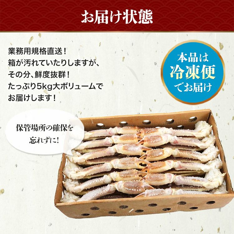 超特大 生 ずわい蟹 5kg 3L-5Lサイズ 蟹 ズワイガニ カニ かに 鍋 業務