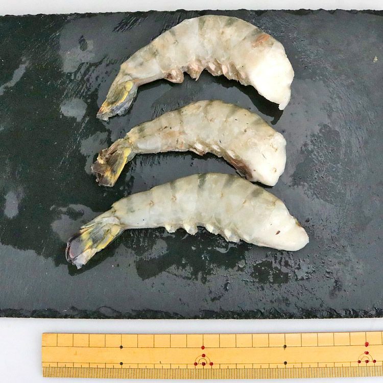 超特大 ブラックタイガー 無頭エビ 1.8kg 8/12 サイズ 約32尾～48尾