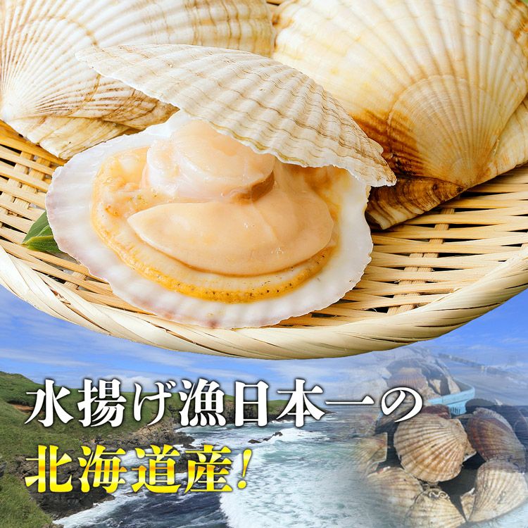 ボイルホタテ デカ玉 2Lサイズ 1kg 帆立 ほたて 冷凍便 ギフト お