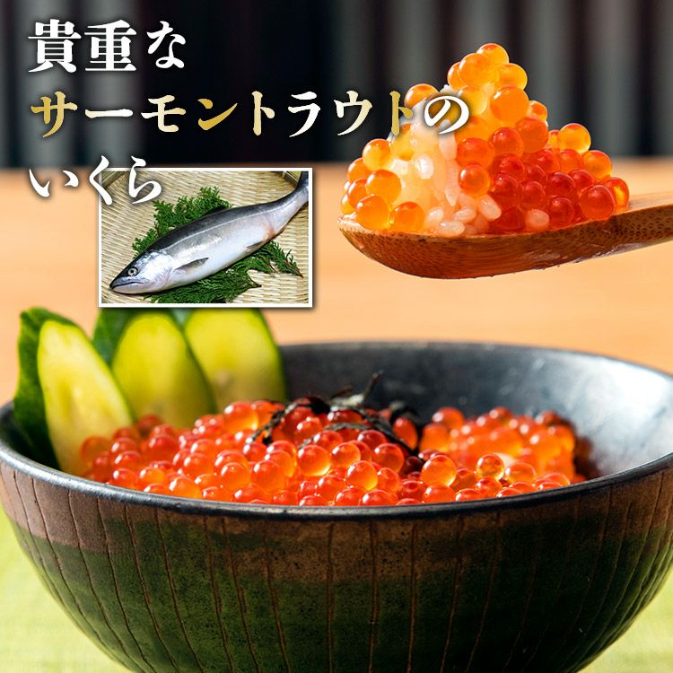 いくら 醤油漬け 250g 粒は小さいけど味は抜群！ サーモン トラウト 丼
