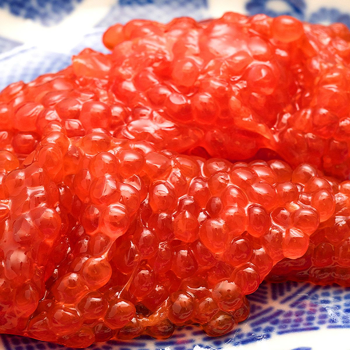 筋子醤油漬け 500g すじこ 冷凍 ます筋子 スジコ 鱒 マス | 食の達人森