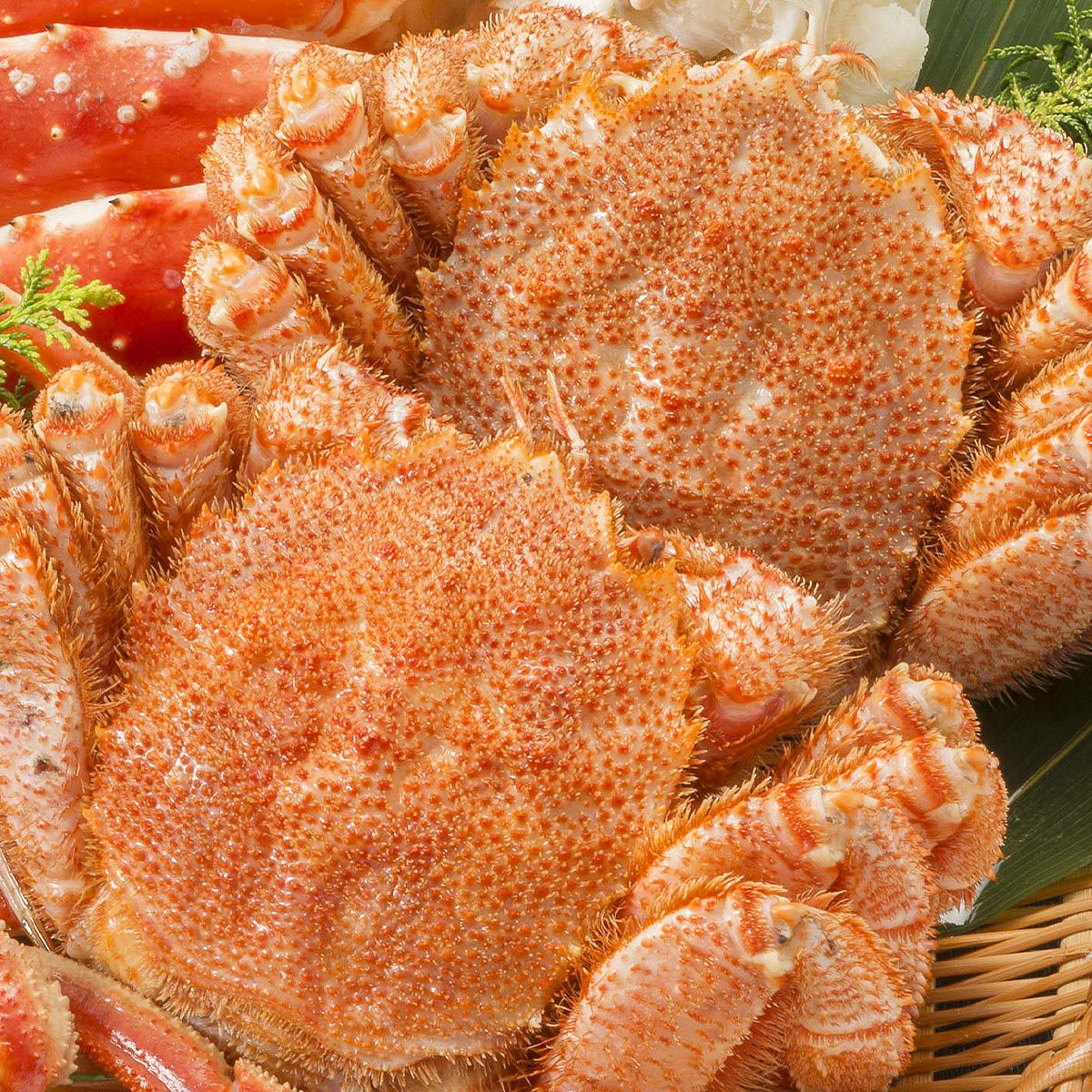北海道産 特大毛蟹 2尾セット 計1.3kg 1尾平均650g (/ケガニ/毛ガニ