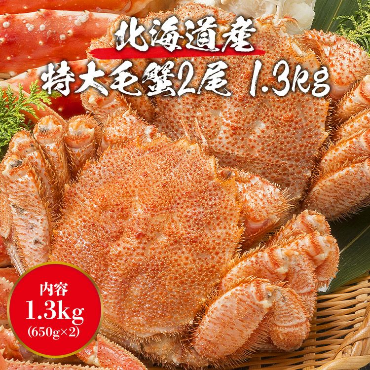 北海道産毛ガニ1キロ 北海道産 特大毛蟹 2尾セット 計1.3kg 1尾平均650g (/ケガニ/毛ガニ