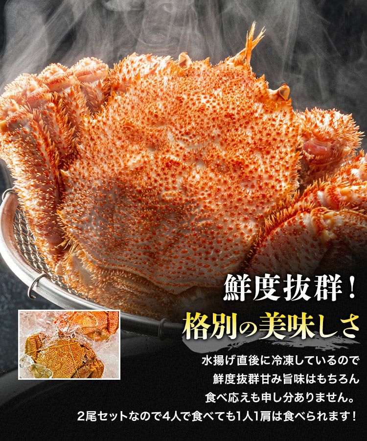 北海道産 特大毛蟹 2尾セット 計1.3kg 1尾平均650g (/ケガニ/毛ガニ