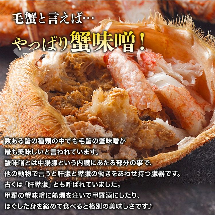 北海道産 特大毛蟹 2尾セット 計1.3kg 1尾平均650g (/ケガニ/毛ガニ