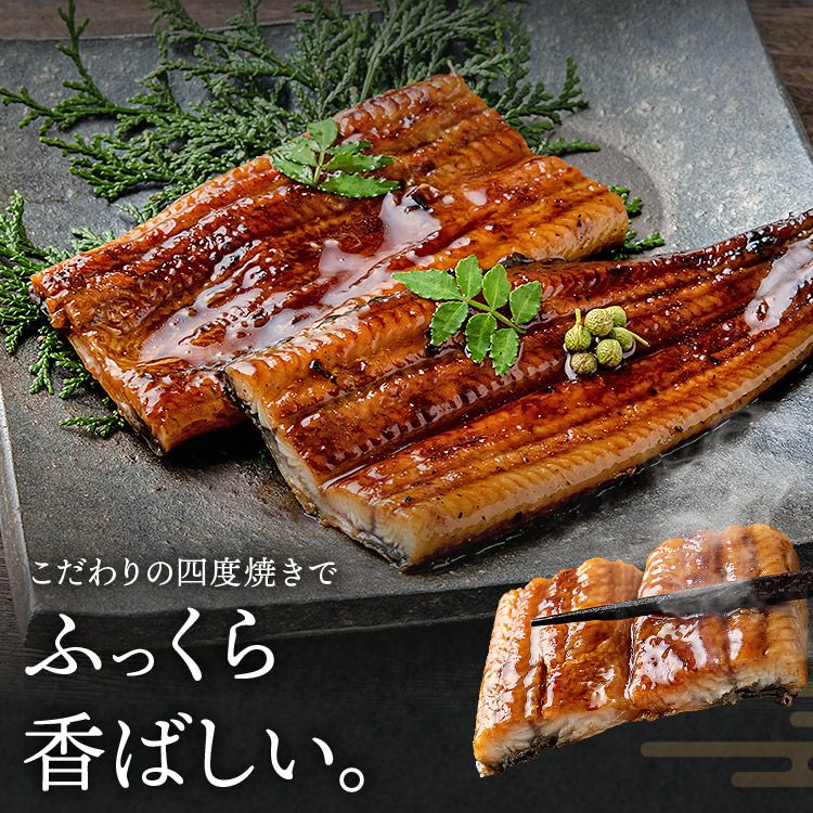 うなぎ 国産 無投薬 2尾 約180g×2本 鰻 鹿児島県産 鰻 うなぎ ウナギ