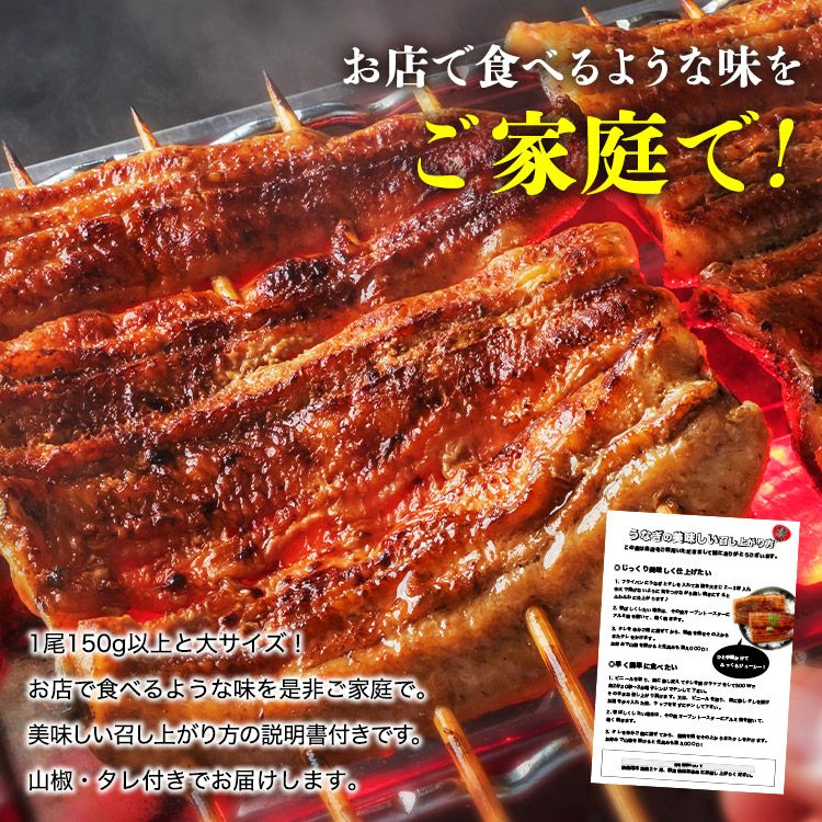 国産うなぎ 1尾 約150g 鰻 うなぎ ウナギ 蒲焼 かば焼き 土用丑 土用