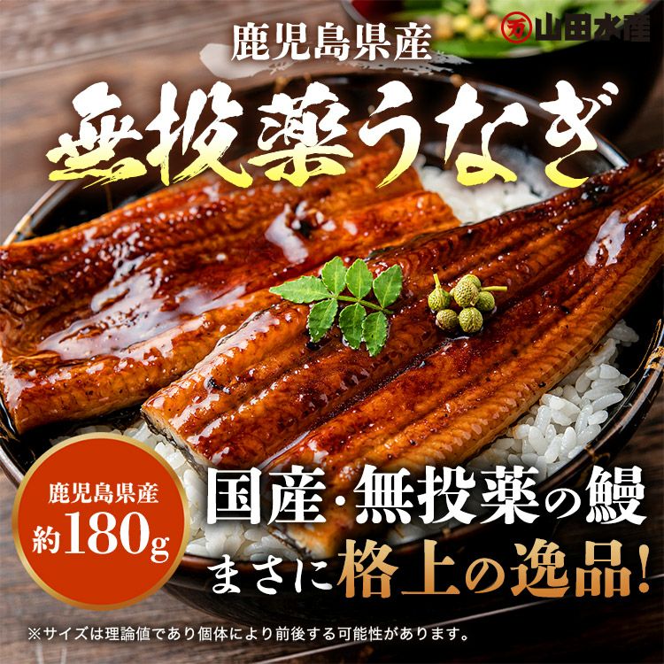 うなぎ 鰻 国産 無投薬 1尾 約180g 鹿児島県産 ウナギ 蒲焼き 土用丑