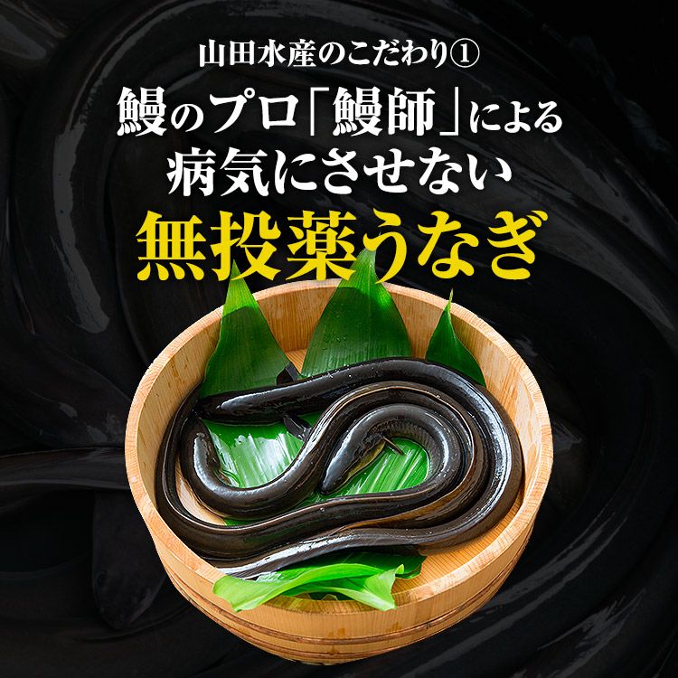うなぎ 鰻 国産 無投薬 1尾 約180g 鹿児島県産 ウナギ 蒲焼き 土用丑