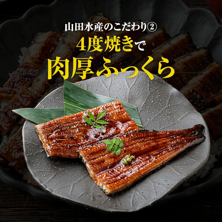 うなぎ 鰻 国産 無投薬 1尾 約180g 鹿児島県産 ウナギ 蒲焼き 土用丑