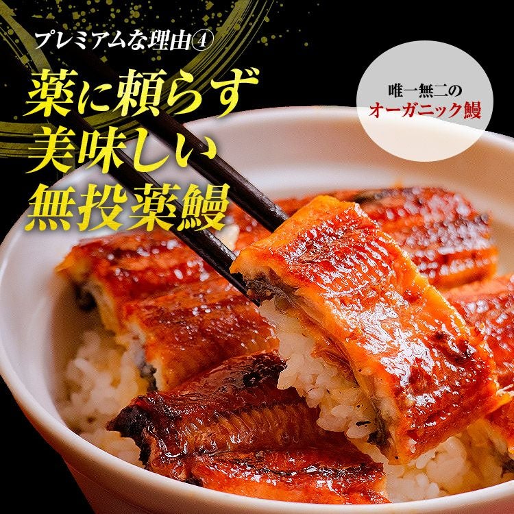 うなぎ 鰻 国産 無投薬 1尾 約180g 鹿児島県産 ウナギ 蒲焼き 土用丑