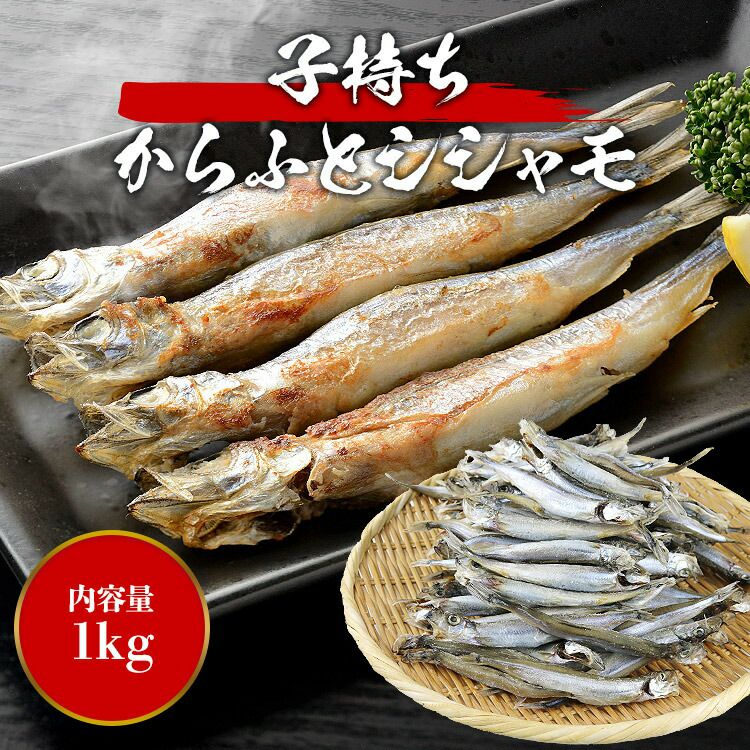 訳あり 子持ち ししゃも からふと シシャモ 1kg 約80-120尾 卵