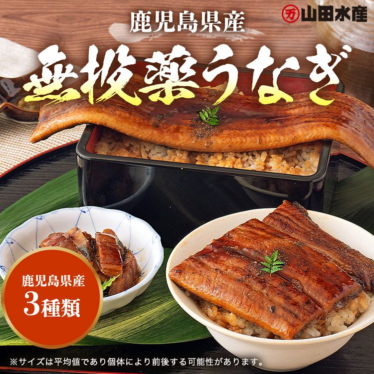 うなぎ 鹿児島県産 3種セット 長焼き 刻み カット 食べ比べ 合計320g