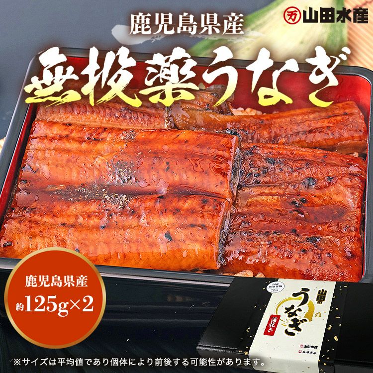 うなぎ 鹿児島県産 2尾 ギフトBOX入 125g×2 化粧箱入 国産 蒲焼き 長