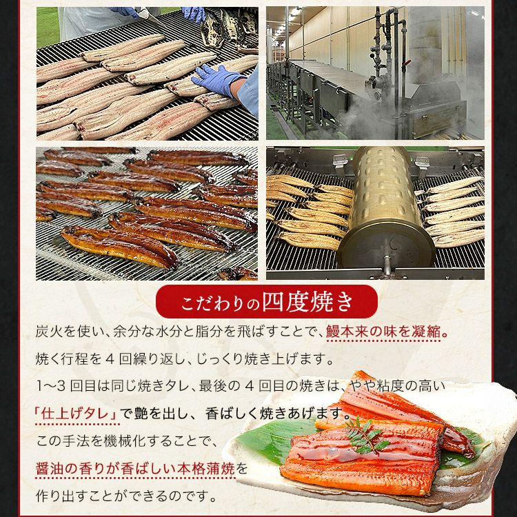 うなぎ 鹿児島県産 2尾 ギフトBOX入 125g×2 化粧箱入 国産 蒲焼き 長