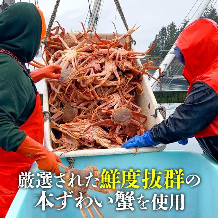 カット済み カニ 400g 1-2人前 ハーフポーション 生ずわい蟹 かに鍋