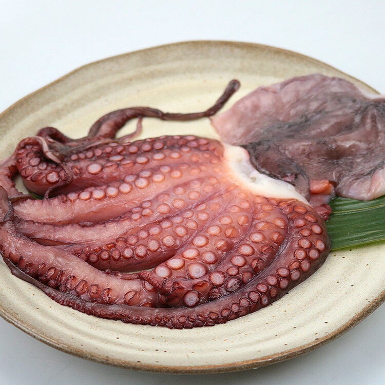 シマナガエのタコ焼？！タコさん付き タコ 灰干しマダコ 250g-300g×2 合計500g以上 蛸 真蛸 ハマノ 岸和田
