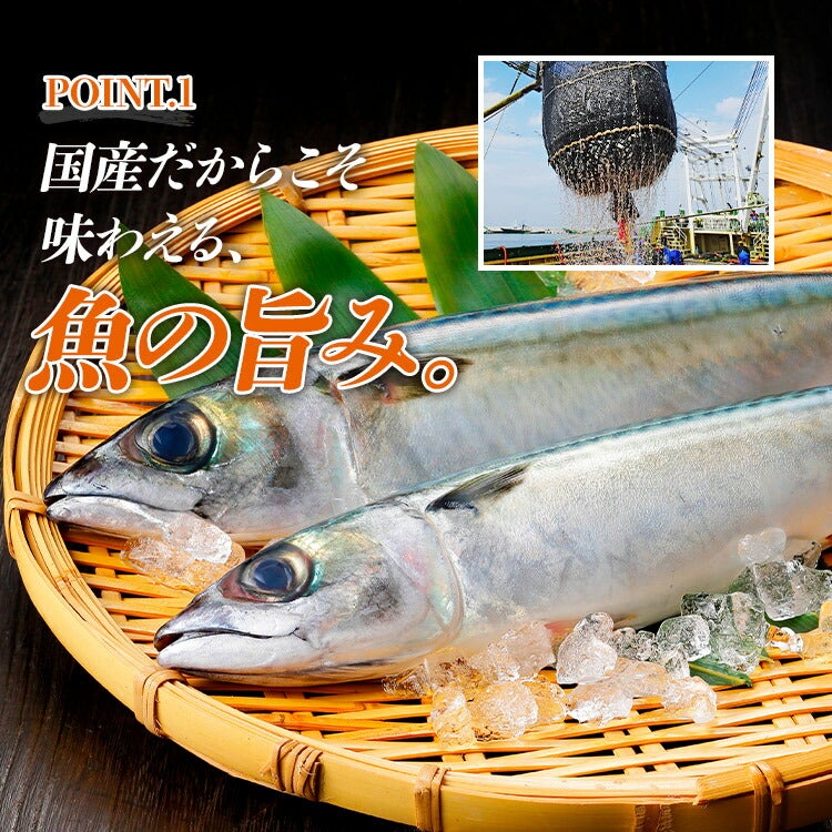さばカツ 4枚 特大3Lサイズ 山田水産 山田のフライ 鯖 サバ レンジ調理
